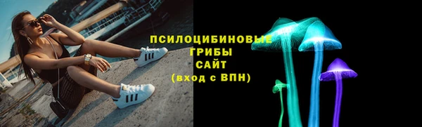 гашик Бронницы