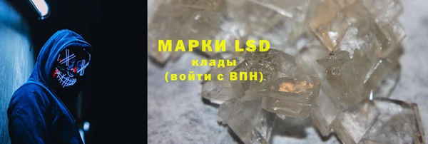 индика Баксан