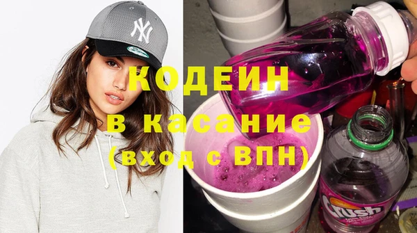 индика Баксан