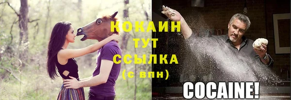 ПСИЛОЦИБИНОВЫЕ ГРИБЫ Балабаново