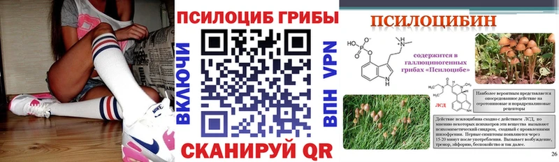 кракен вход  Козьмодемьянск  Псилоцибиновые грибы мухоморы 